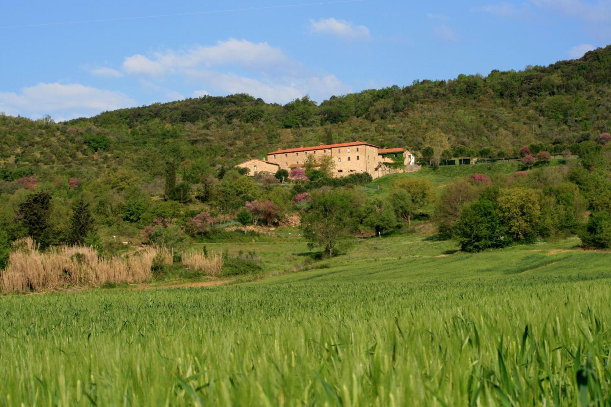 Agriturismo San Ottaviano Monterotondo  Dış mekan fotoğraf