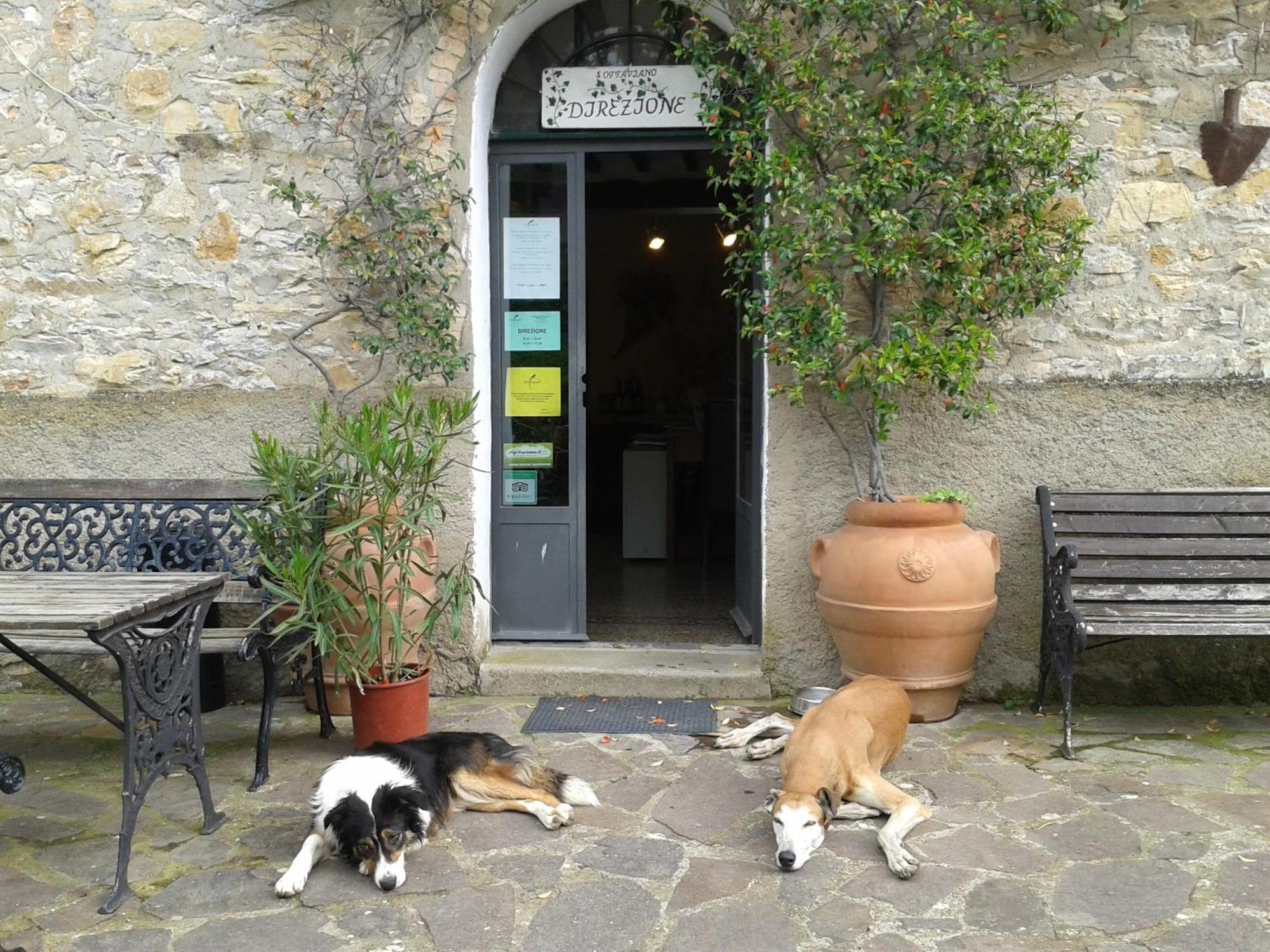 Agriturismo San Ottaviano Monterotondo  Dış mekan fotoğraf